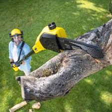Best Storm Damage Tree Cleanup  in Stonewall, LA