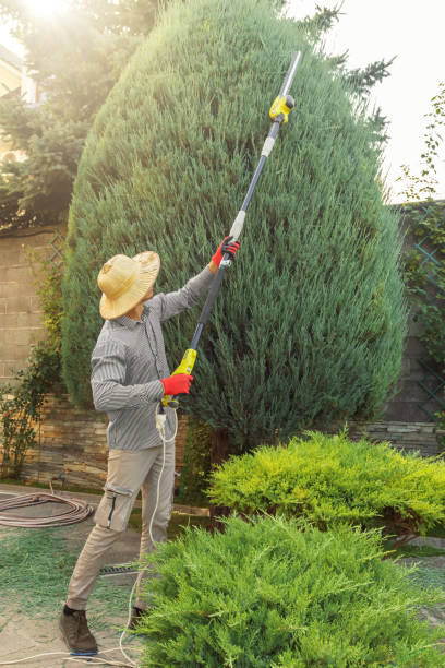 Best Lawn Drainage Solutions  in Stonewall, LA